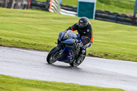 Oulton-Park-14th-March-2020;PJ-Motorsport-Photography-2020;anglesey;brands-hatch;cadwell-park;croft;donington-park;enduro-digital-images;event-digital-images;eventdigitalimages;mallory;no-limits;oulton-park;peter-wileman-photography;racing-digital-images;silverstone;snetterton;trackday-digital-images;trackday-photos;vmcc-banbury-run;welsh-2-day-enduro